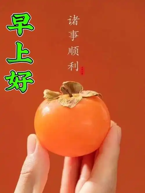 20231113周一早上好早安清晨问候祝福图片