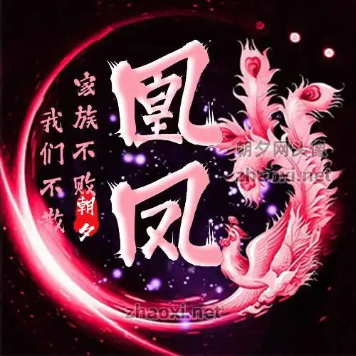 白色闪光和圆点舞台效果方块头像在线做