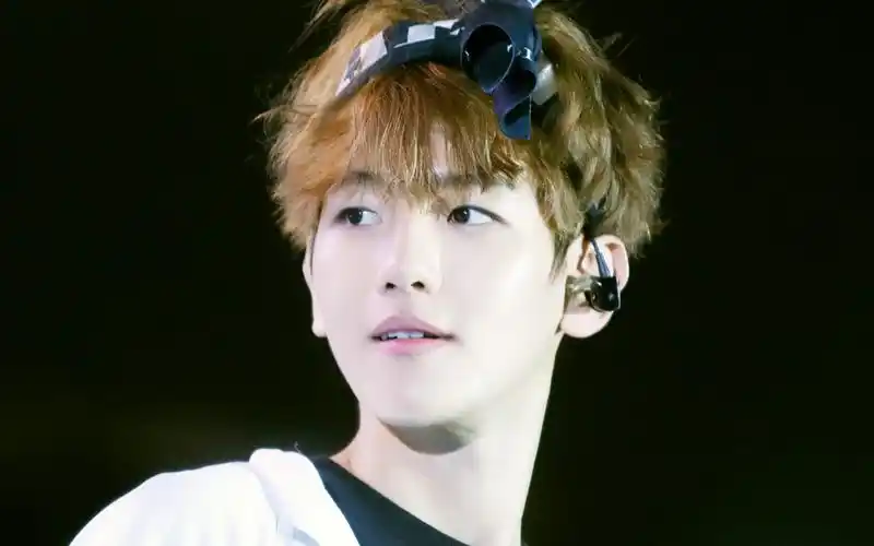 【边伯贤】160930 exo三巡luckyone 蝴蝶结小狗越跳越high