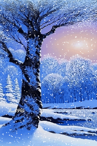 飘雪唯美大树雪白gif动图_动态图_表情包下载_soogif