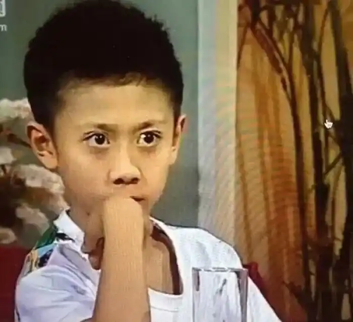 他因家有儿女刘星爆红凭借实力蜕变打破大众的刻板印象