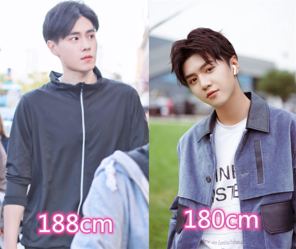 双男主身高差是多少陈立农李现看到胡一天这组8cm差距不算多