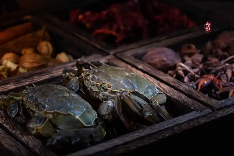 美食摄影 | 螃蟹 ———秋风起,蟹脚痒