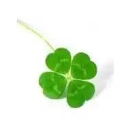 头像图片微信四叶草点击鼠标右键下载