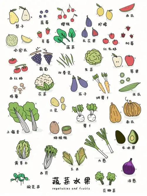 8100简笔画蔬菜和水果