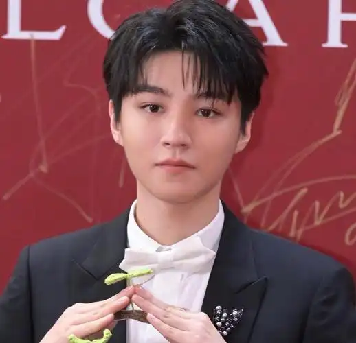 王俊凯的风采依旧不减当年,他的五官精致