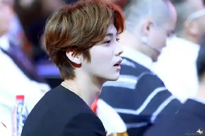 鹿晗考古记鹿##鹿晗