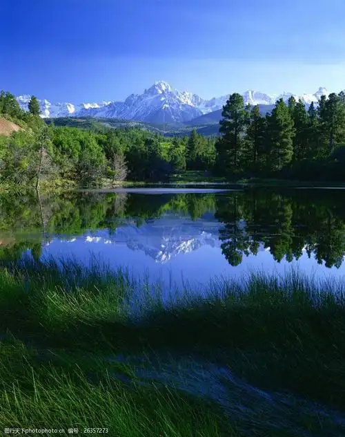 高山上的积雪风景图片图片