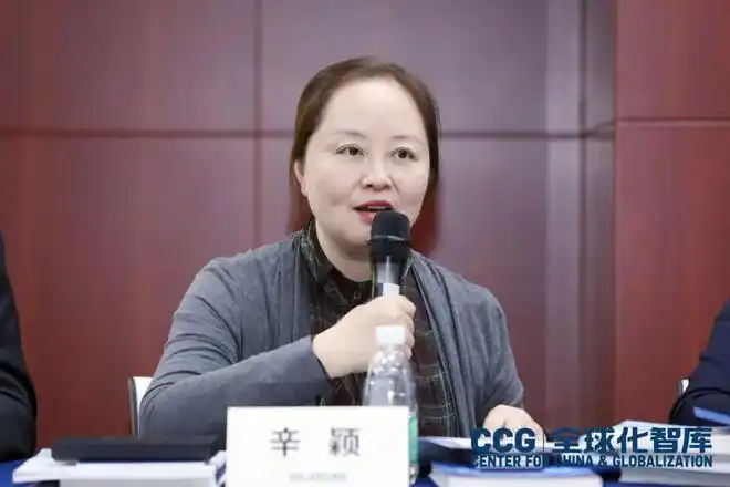 清华附中副校长,清华附中稻香湖学校执行校长辛颖在研讨会上发表了