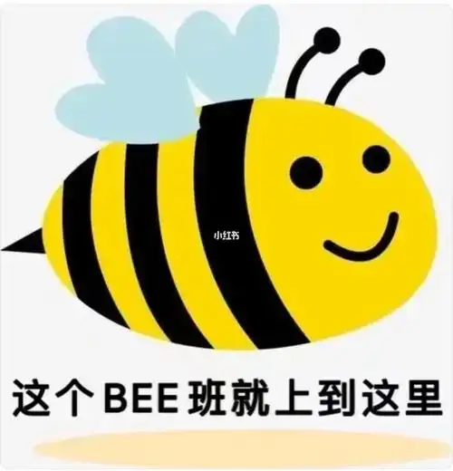 又是忙忙碌碌的一天