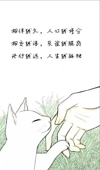 现实的社会虚伪的人心