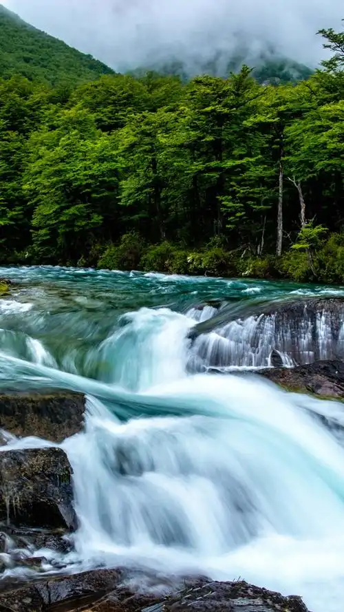 1080_1920竖版 竖屏