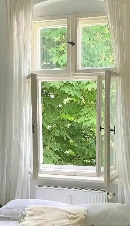 2024简约绿色壁纸全屏ins风 我只是想要热烈且自由地活着