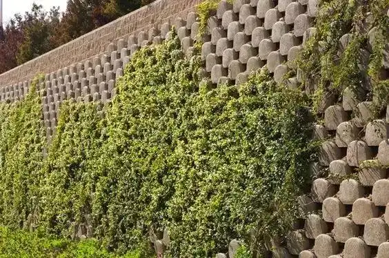 护坡如何建安全实用又美观?