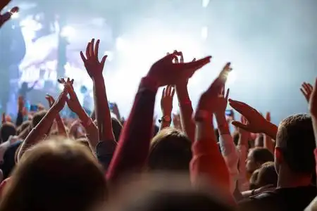 观众鼓掌欢呼图片-观众鼓掌欢呼素材-观众鼓掌欢呼插画-摄图新视界