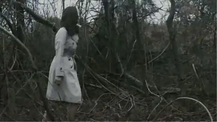 "鬼打墙"是怎么回事?你遇到过吗?来看看科学的解释