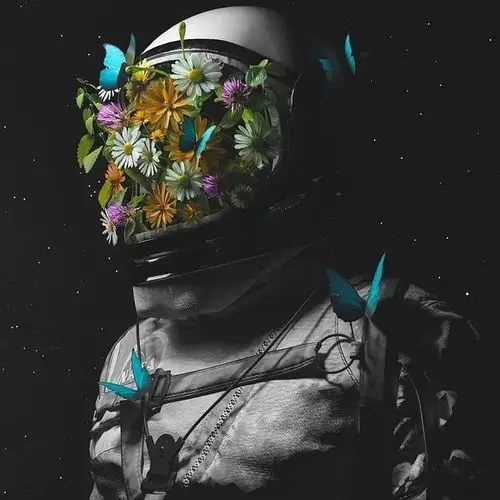 回应: 哈人歌曲封面图收集