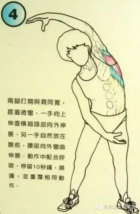 筋长一寸,寿长十年!拉伸动作图解