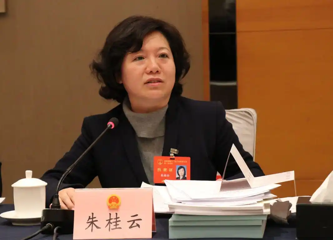 两会听报告提建议话未来代表委员们说