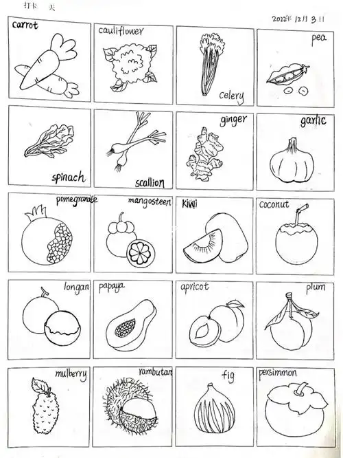 简笔画2360蔬菜水果