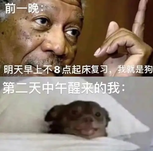 人间真实场景四: 白天的我无比强大,夜晚的我无比脆弱,哪位好心人来