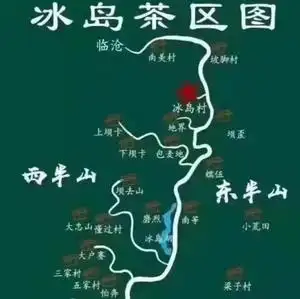 头春预售】坡脚200g】冰岛第六寨茶山接连冰岛南迫老寨大古树挑采