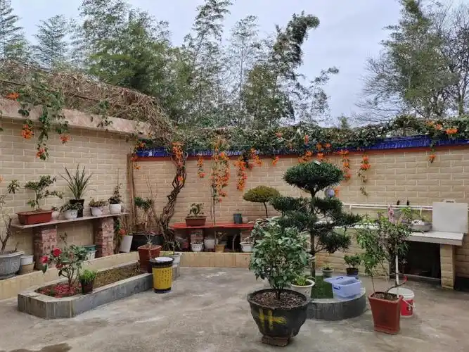 绿美始兴谢碧群以小美庭院扮靓大美乡村始兴县美丽庭院示范户风采展示