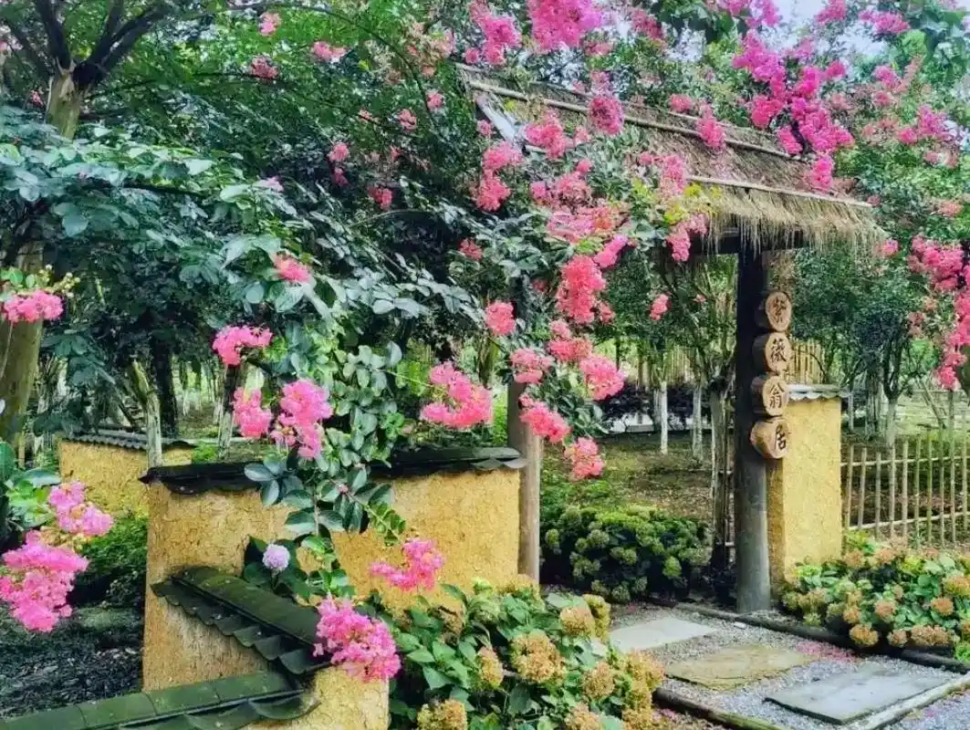 成都温江拍照非常好看的中式古风万花园.