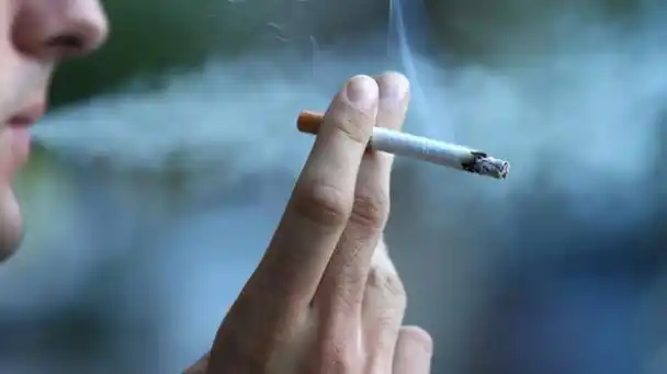 导语:说起香烟,相信大家都不陌生,尤其是近年来越来