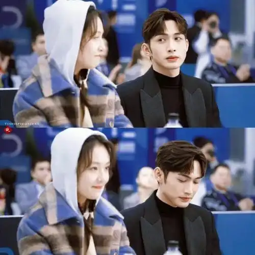 张彬彬_新浪新闻