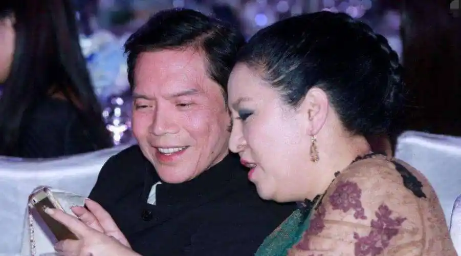 向太陈岚:一个不好惹的女人,却是帮过多位巨星解围的仗义大姐大