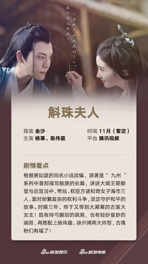 2021年11月电视剧最新列表热播影视剧推荐