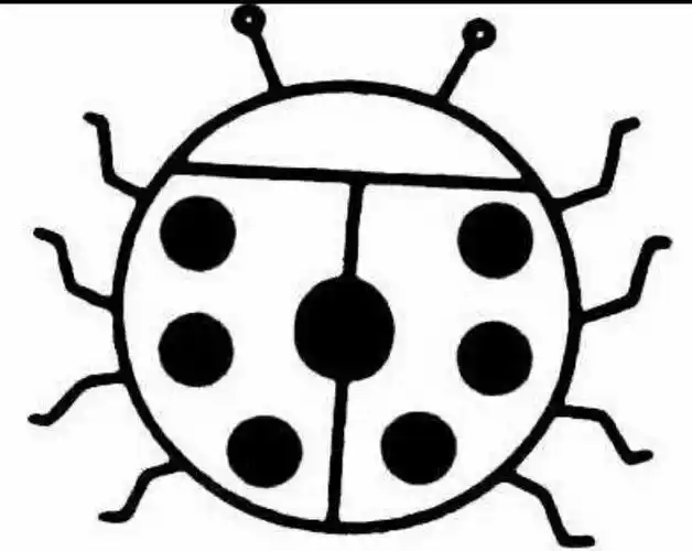 课后作业画简笔画七星瓢虫并涂上颜色