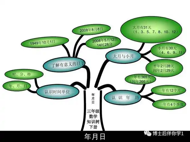 博士后伴你学三年级下册数学知识树