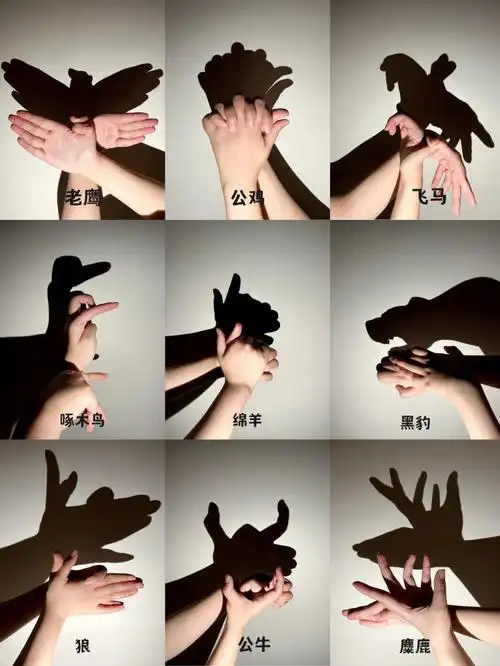 幼儿园  #手势影子  #手影