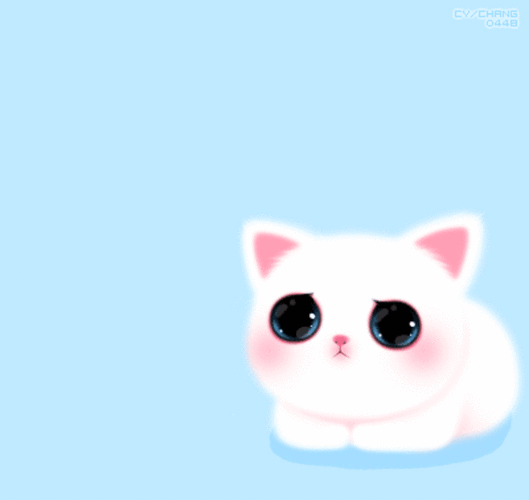 可爱小猫动态 - 堆糖,美图壁纸兴趣社区