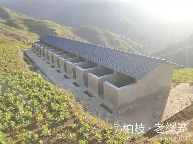 2018年11月21日柏枝村委会人畜分离集中安置点猪圈清查情况.