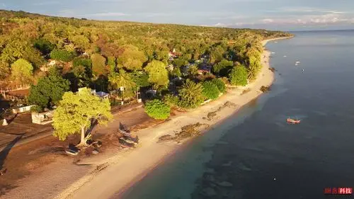 走进东帝汶的水下世界