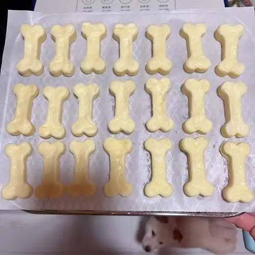 继羊奶咬胶翻车后的又一翻车现场一直想给狗子烘干一些芝士奶酪 之前