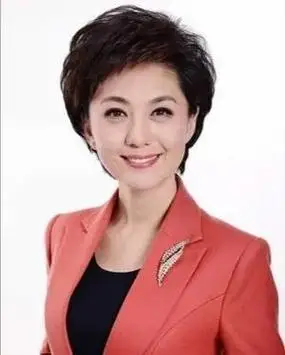 海霞(hai xia,1972年5月5日-)是中国中央电视台(cctv)新闻联播节目的