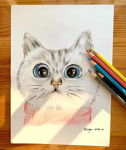 彩铅打卡可爱小猫步骤图