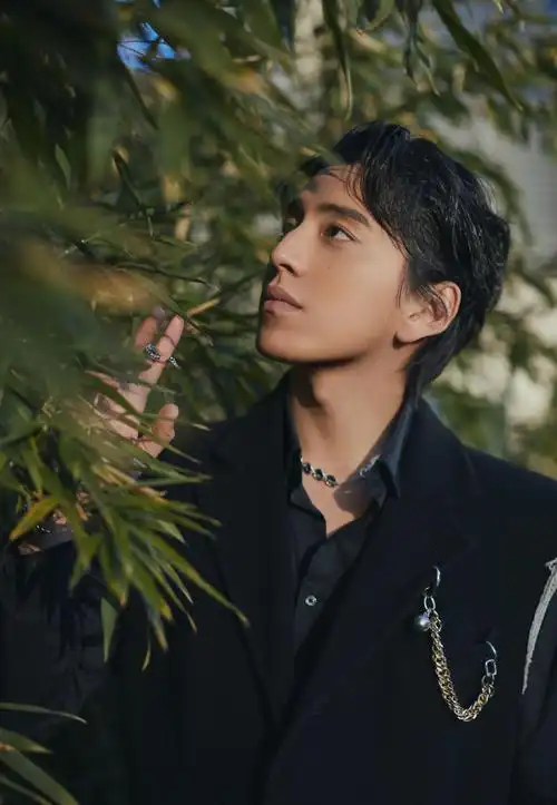 帅气男神王大陆帅气图片写真313