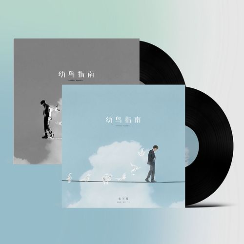 官方正版 毛不易专辑 幼鸟指南 同行版 2lp黑胶唱片 歌词页 12寸
