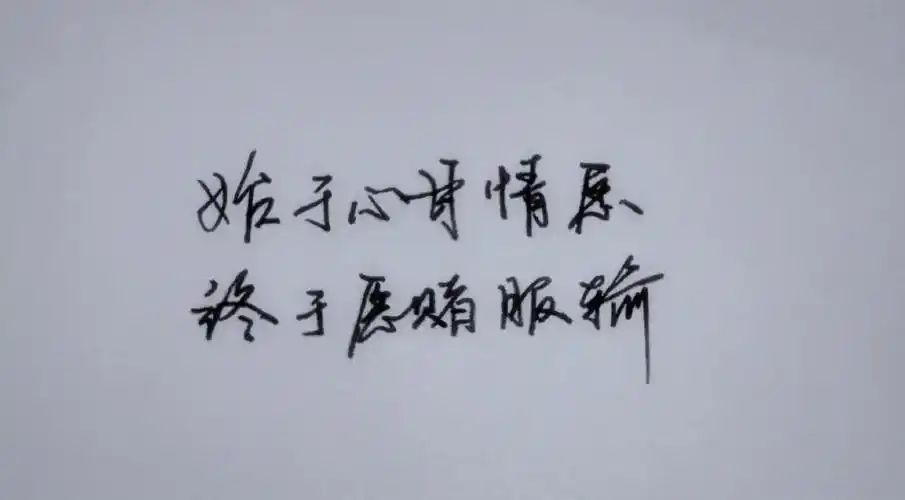 始于心甘情愿,终于愿赌服输.感情之苦,其实就是:求而不得.