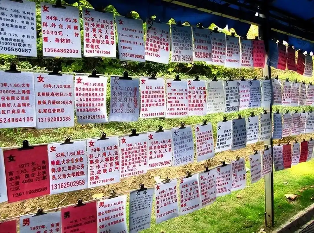 王思聪面相不行,黄子韬当上门女婿,现在的相亲门槛高到离谱