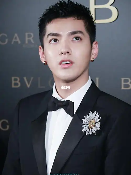 吴亦凡绝世神颜