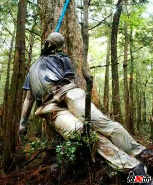 富士山下为什么恐怖每年自杀死亡人数成百上千