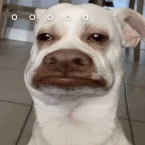 每日精选沙雕表情包_包图源