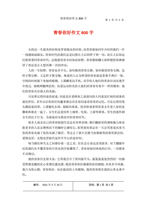 青春你好作文800字docx2页