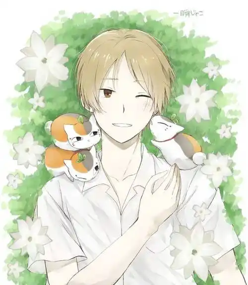 夏目贵志pixiv插画图片